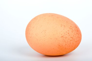 egg-871282749217q6v0